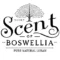 Scent Of Boswellia